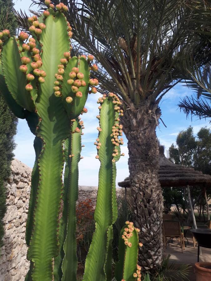 La Maison D'Helene Essaouira Ghazoua Luaran gambar