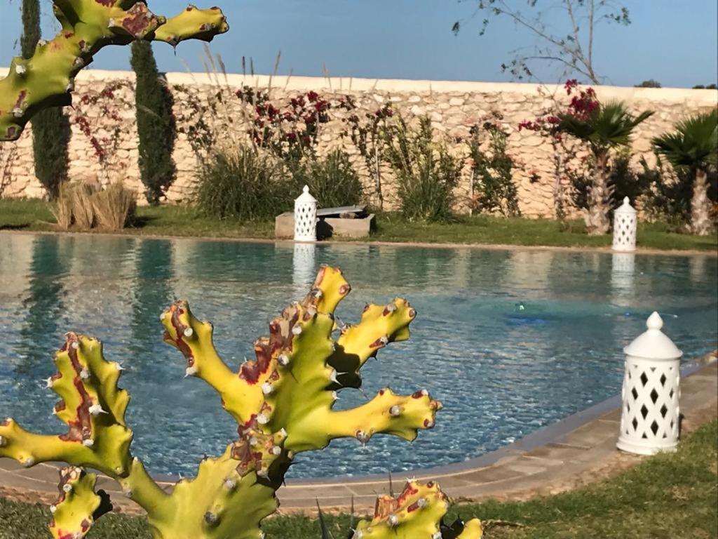 La Maison D'Helene Essaouira Ghazoua Luaran gambar